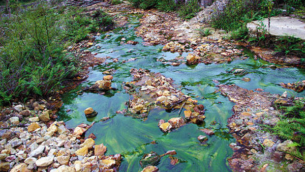 土壤常见的重金属污染