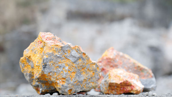 重金属污染的特点表现有哪些方面?